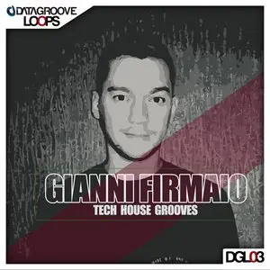 Datagroove Loops Gianni Firmaio Tech House Groove WAV