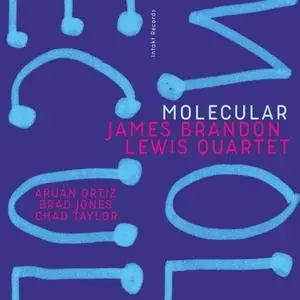 James Brandon Lewis Quartet, Aruán Ortiz, Brad Jones, Chad Taylor - Molecular (2020) [Official Digital Download 24/96]