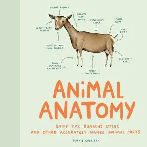 Animal Anatomy: Sniff Tips, Running Sticks, and Other Accurately Named Animal Parts