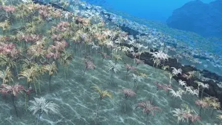 Deep Ocean: The Lost World of the Pacific (2015)