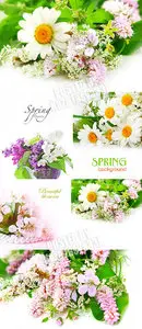 Spring flowers 26
