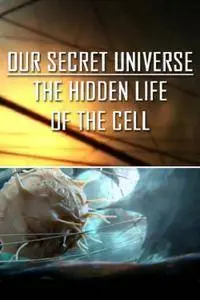 BBC - Our Secret Universe: The Hidden Life of the Cell (2012)