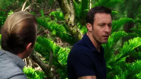 Hawaii Five-0 S05E09