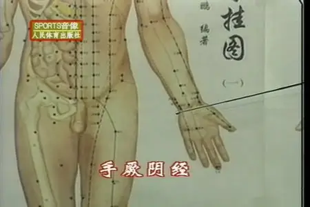 Chinese Massage - The Art of Cupping Massage and Vacuum Therapy