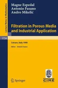 Filtration in Porous Media and Industrial Application (Repost)