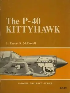 The P-40 Kittyhawk (Famous Aircraft Series)