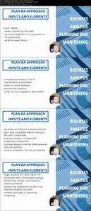Business Analysis Planning and Monitoring (IIBA - ECBA)