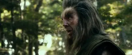 The Hobbit: The Desolation of Smaug - Extended (2013)