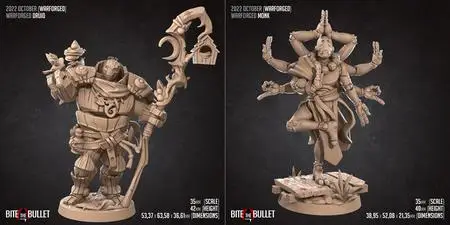 Warforged Monk and Druid