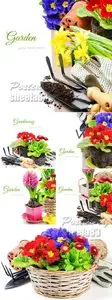 Stock Photo - Summer Gagdening