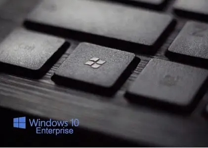 Windows 10 Enterprise LTSC 2019 OEM version 1809 Build 17763.404