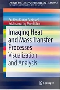 Imaging Heat and Mass Transfer Processes: Visualization and Analysis