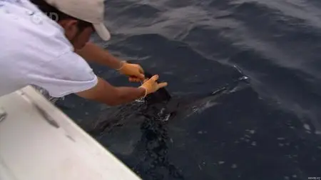 Robson's Extreme Fishing Challenge - Mexico (2012)