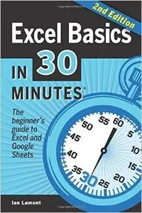 Excel Basics In 30 Minutes (2nd Edition): The beginner's guide to Microsoft Excel and Google Sheets