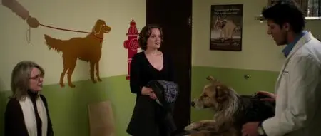 Darling Companion (2012)