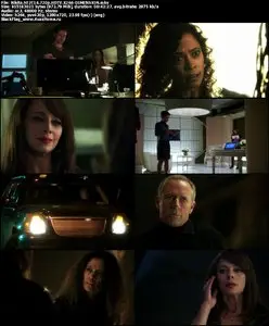 Nikita S02E14 "Rogue"