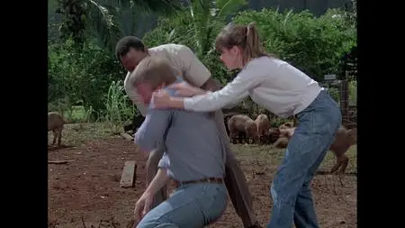 Magnum P.I. S04E08