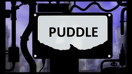 Puddle year 2010