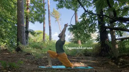 Lower Beginners Yoga Course By Yogantahkarana