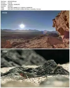 Planet Earth: A Celebration (2020)