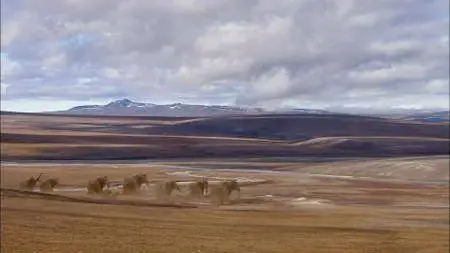 BBC - Woolly Mammoth: Secrets from the Ice (2012)