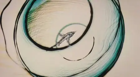 Little Prince (2007)