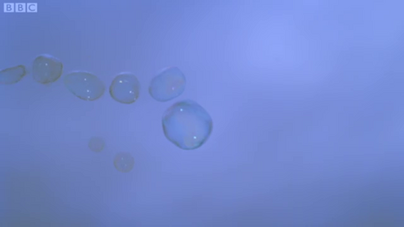 Wonders of the Universe - Stardust
