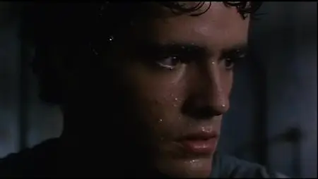 Demons 5: The Devil's Veil /  La maschera del demonio (1989)