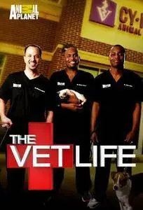 The Vet Life S03E01