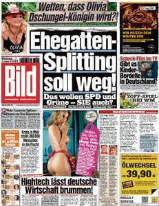 Bild Zeitung vom 16 Januar2013