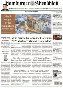 Hamburger Abendblatt  - 19 November 2024