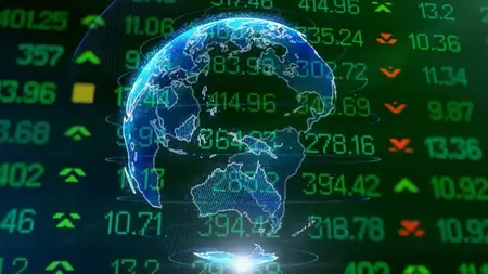 Your Money, Your Future : A Crash Course in Investing