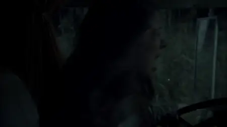 Diary of the Dead (2007)