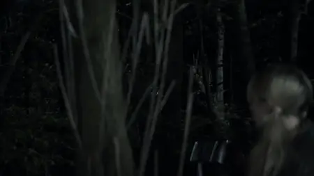 Diary of the Dead (2007)