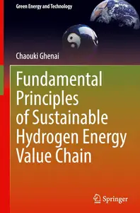 Fundamental Principles of Sustainable Hydrogen Energy Value Chain