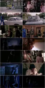 The Last Round (1976) Il conto è chiuso [Dual Audio]
