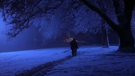 Everything You Want / Love Surreal (2005)