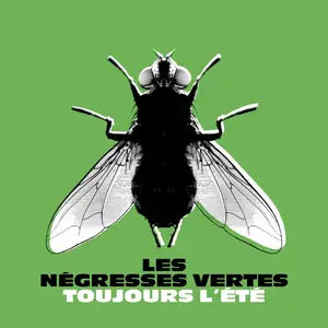 Les Négresses Vertes - Toujours l'été (2024)