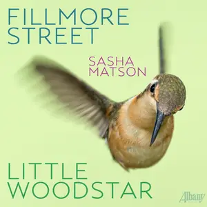 Sasha Matson - Fillmore Street-Little Woodstar (2025) [Official Digital Download 24/96]