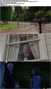 Father Of The Bride (1991)