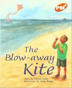 Orange Level 15: The Blow away kite