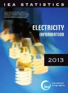 Electricity Information 2013