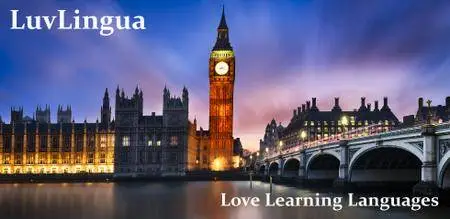 Learn English LuvLingua Pro 2.62