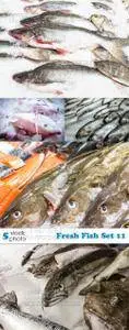 Photos - Fresh Fish Set 11