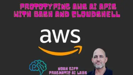 Prototyping AWS AI APIS With Bash and AWS Cloud Shell [Video]