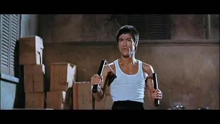 Bruce Lee Ultimate Fully Re-Mastered DVD Collection (1971-1981)