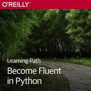 Learning Path: Become Fluent in Python