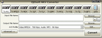 OJOsoft MKV Converter 2.6.3.0304 Portable
