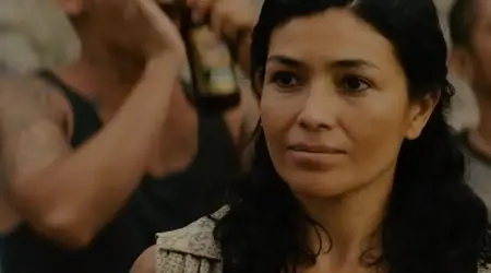 Get the Gringo (2012)