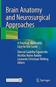 Brain Anatomy and Neurosurgical Approaches